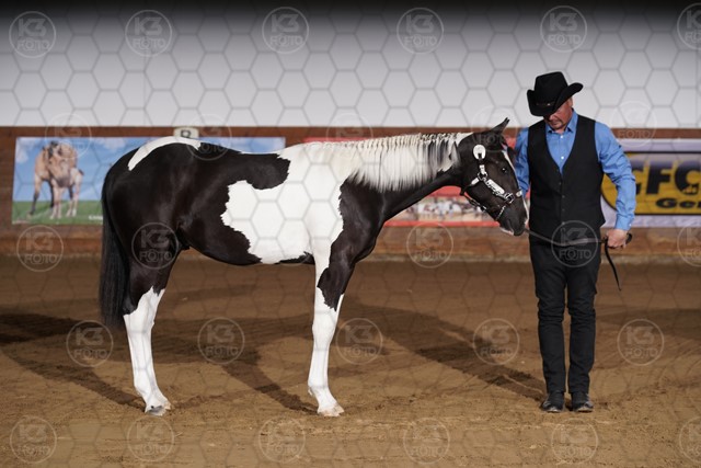 sK3F04535.JPG